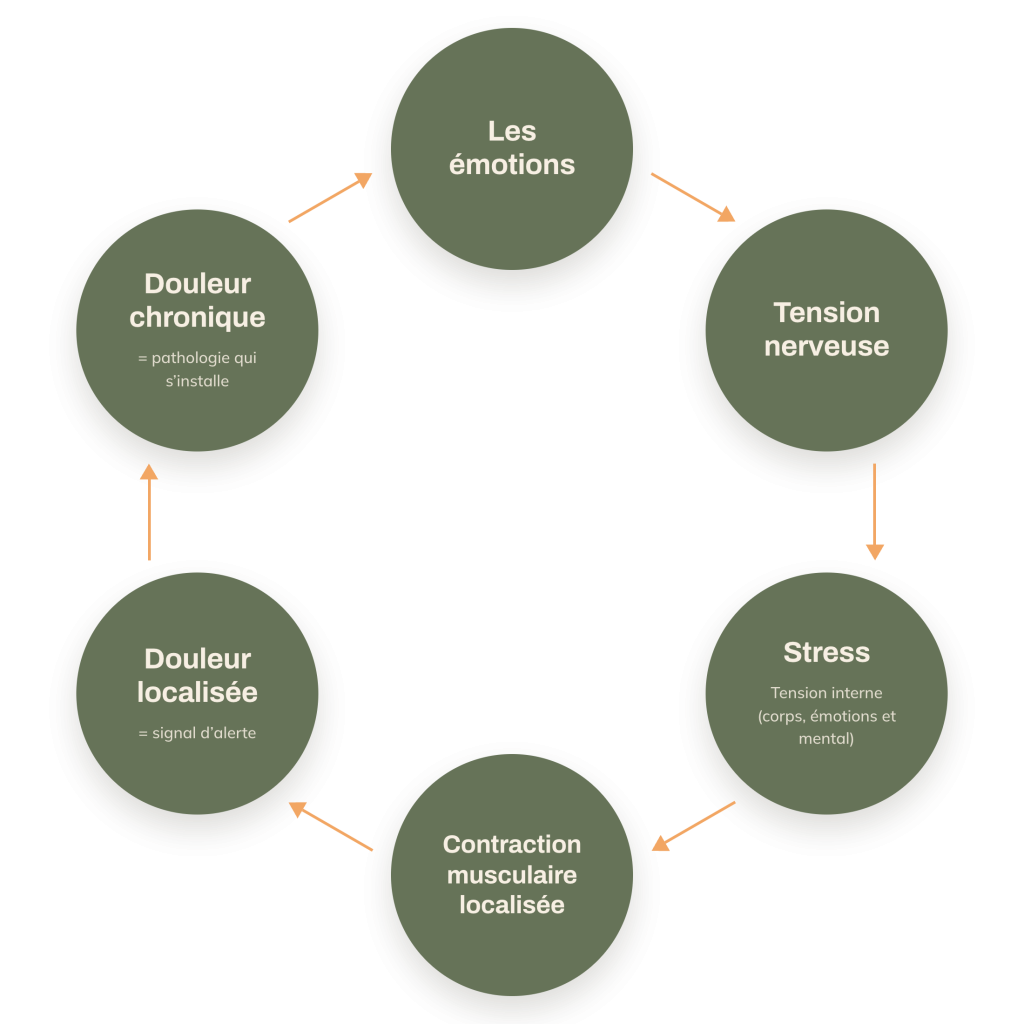 Le cercle de la douleur : de l'émotion bloquée à la douleur, et retour 
