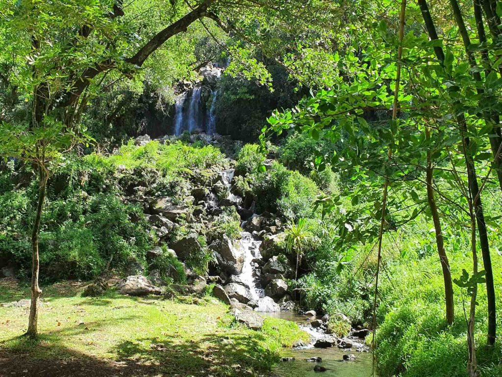 La nature, lieu de la rencontre chamanique 