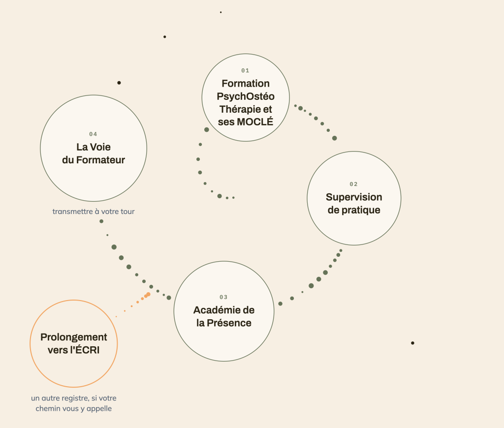 Le chemin du praticien, de la certification à la transmission